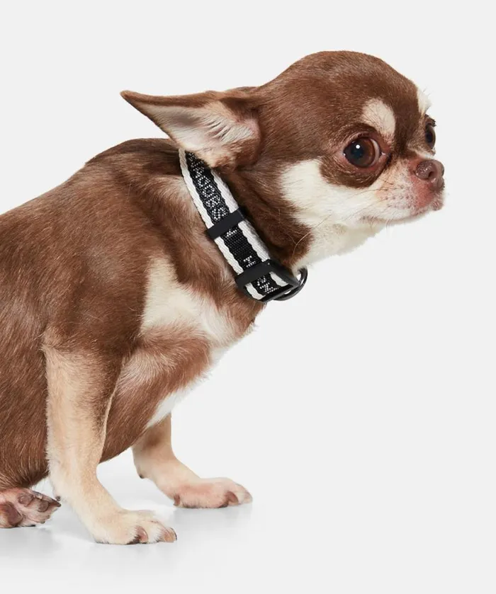 Accessories Ilse Jacobsen Vov and Vuf Dog Collar Extra Small 8211 Black White Sugar