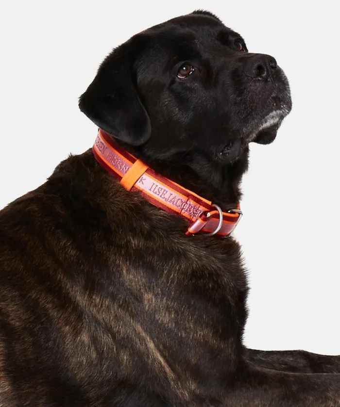 Accessories Ilse Jacobsen Vov and Vuf Dog Collar Large 8211 Burnt Henna