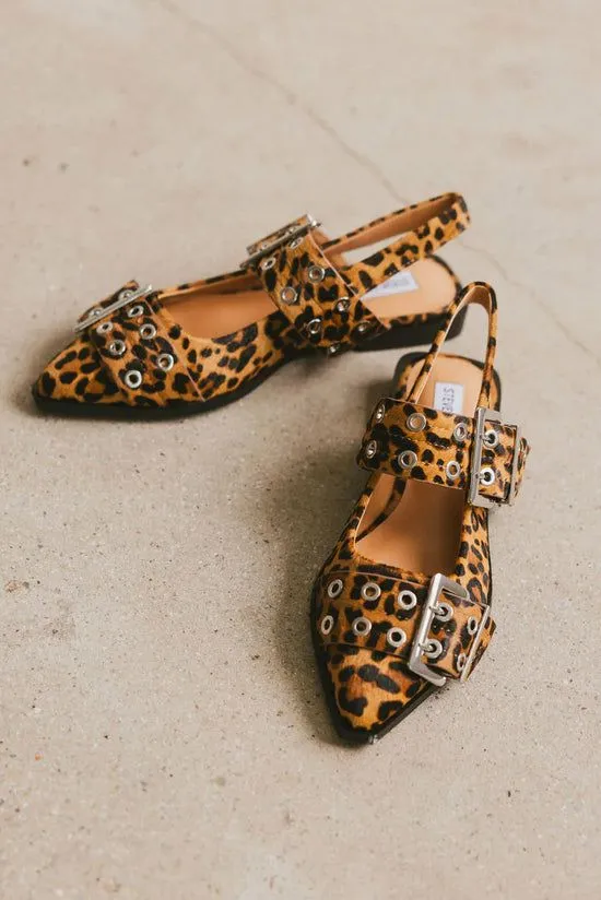 Bohme Steve Madden Graya Flats In Leopard Leopard Women Shoes Bohme Steve Madden Graya Flats In Leopard Leopard Women Shoes