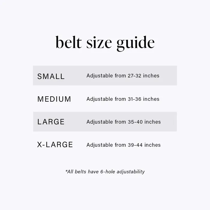 Brahmin Belts Wide Covered Leather Buckle Belt Grey Classic Snake 8211 Women Brahmin Belts Wide Covered Leather Buckle Belt Grey Classic Snake 8211 Women