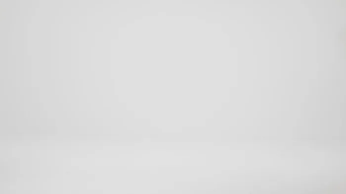 Brahmin Satchels Adrian Pecan Edgewater 8211 Women Brahmin Satchels Adrian Pecan Edgewater 8211 Women