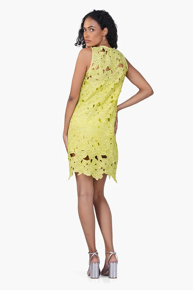 Fall For Neon Floral Lace Short Dress Fall For Neon Floral Lace Short Dress
