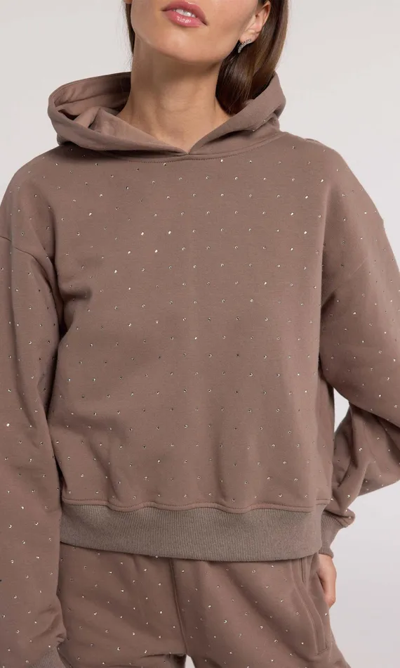 Generation Love Clothing Sweaters and Sweatshirts Women Renae Crystal Hoodie Truffletruffle