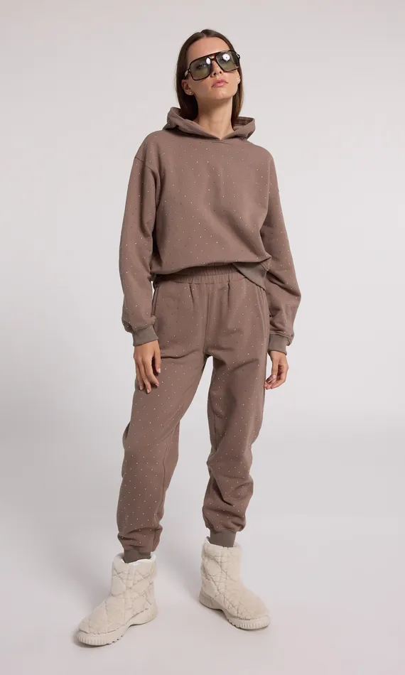 Generation Love Clothing Sweaters and Sweatshirts Women Renae Crystal Hoodie Truffletruffle