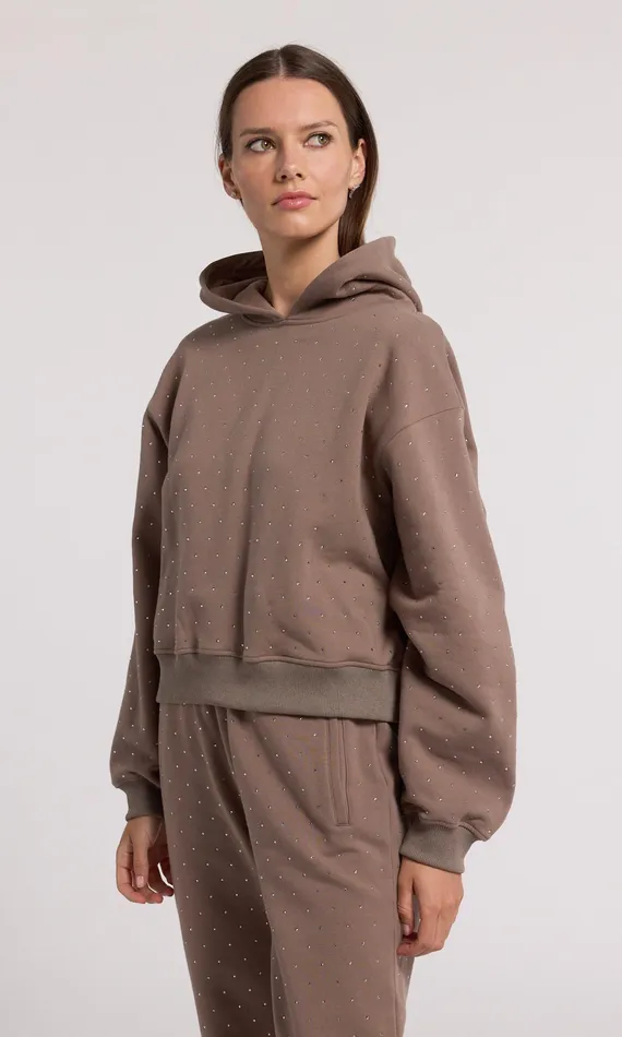 Generation Love Clothing Sweaters and Sweatshirts Women Renae Crystal Hoodie Truffletruffle