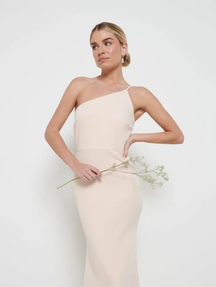 Pretty Lavish Bridesmaid Dresses Amelia Crepe Maxi Bridesmaid Dress Blush 8211 Women