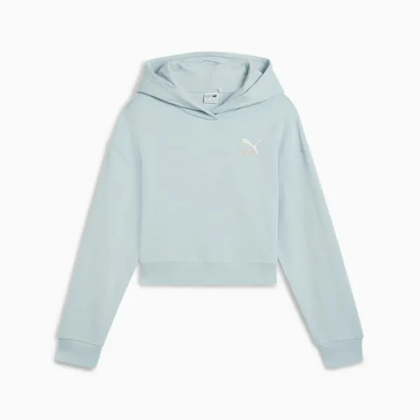 Puma Kids Classics Big 039 Hoodie Frosted Dew 8211 Kids