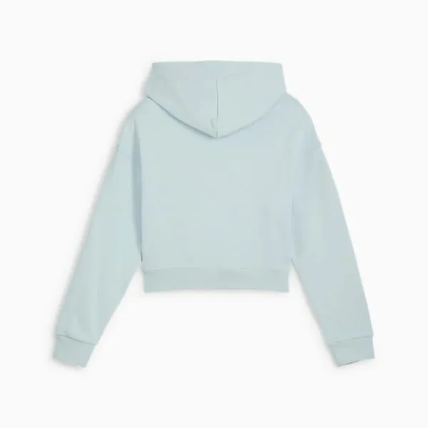 Puma Kids Classics Big 039 Hoodie Frosted Dew 8211 Kids