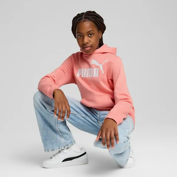 Puma Kids Essentials No 1 Logo Big 039 Fleece Hoodie Pink Fruit 8211 Kids