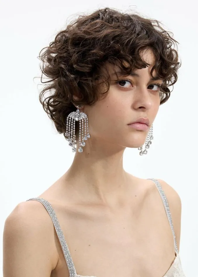 Self Portrait Earrings Crystal Chandelier Earrings 8211 Women