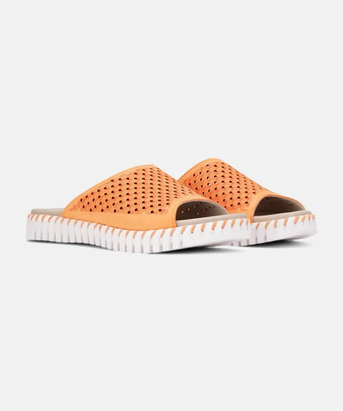 Shoes Ilse Jacobsen Sandals Sandals 8211 Mango Sorbet