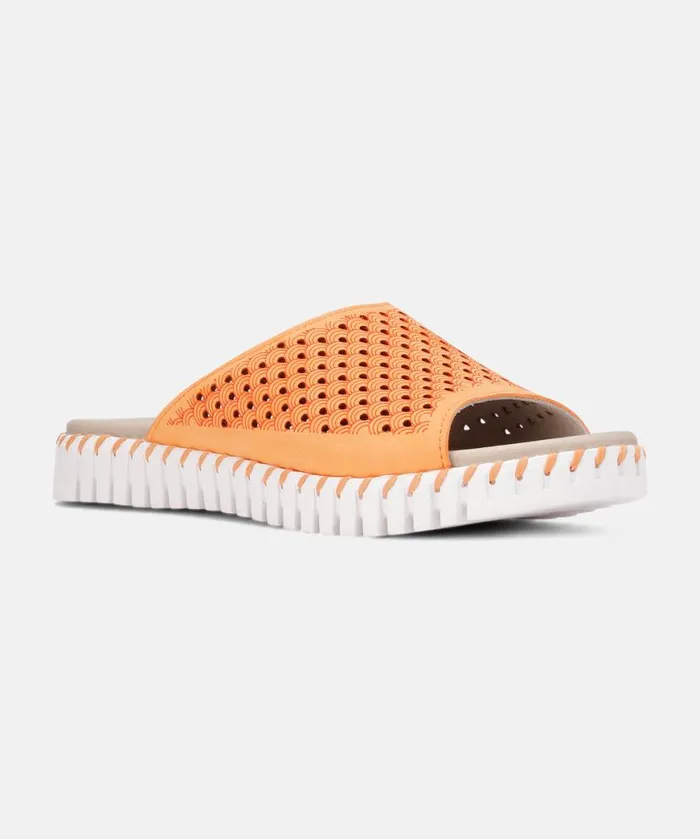 Shoes Ilse Jacobsen Sandals Sandals 8211 Mango Sorbet Shoes Ilse Jacobsen Sandals Sandals 8211 Mango Sorbet