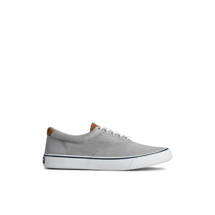 Sperry Sneakers Striper II CVO Sneaker Grey 8211 Men