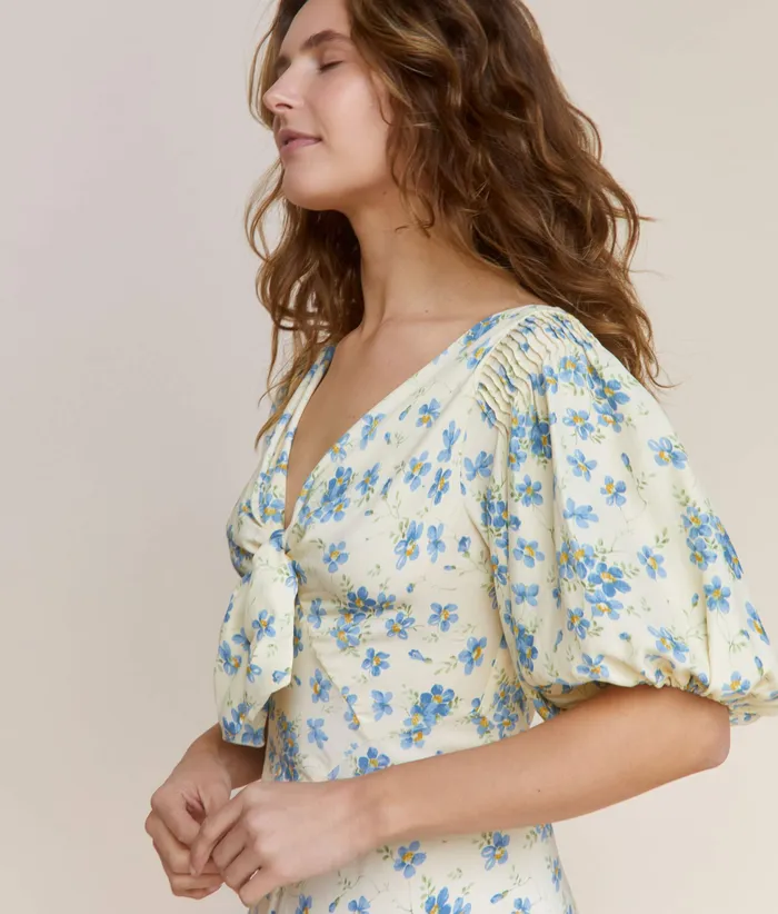 The Honey Dress The Honey Dress