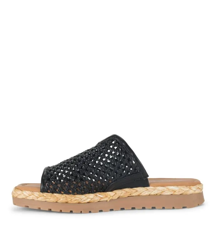 Women Baretraps Slides and Slip On Sandals Tasmine Slide Sandal Black Women Baretraps Slides and Slip On Sandals Tasmine Slide Sandal Black