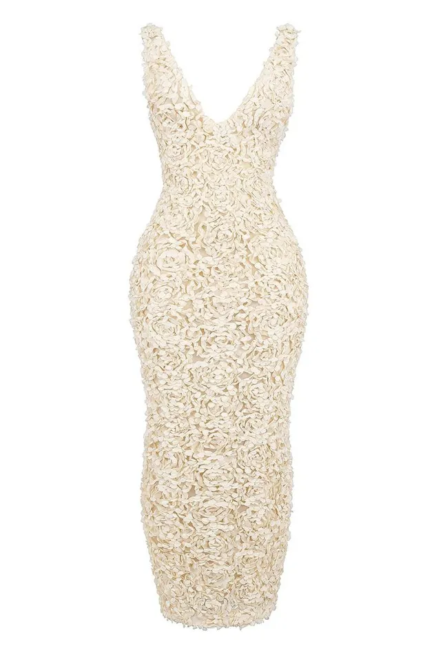 Women Carena Creme Plunge Floral Appliqu Maxi Dress House Of CB Dresses