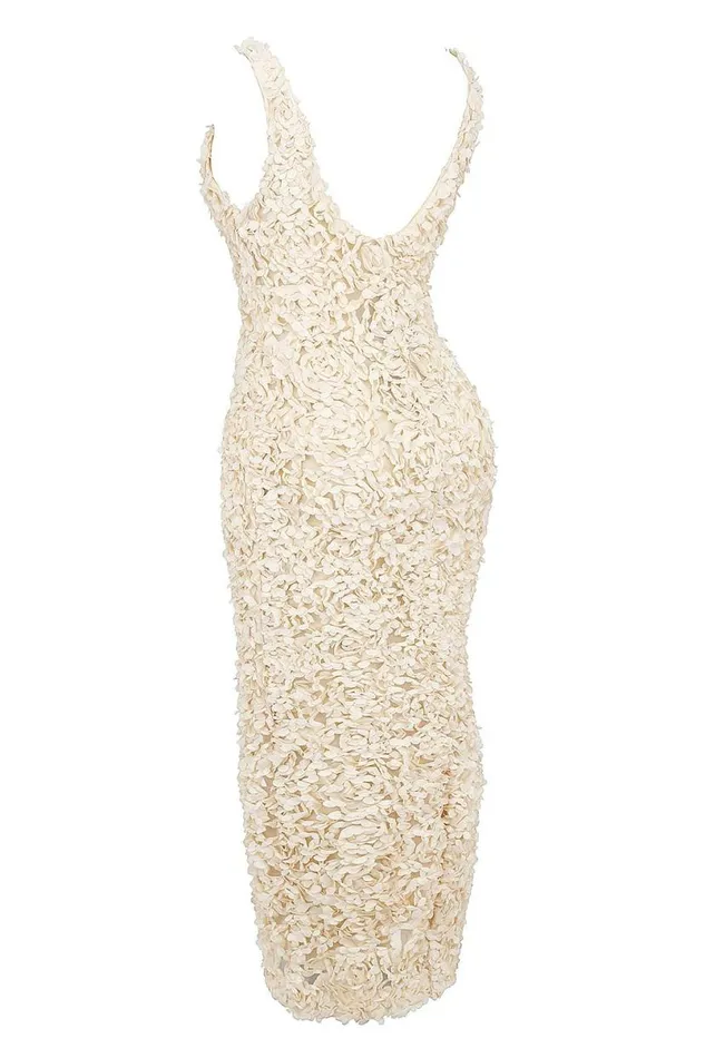 Women Carena Creme Plunge Floral Appliqu Maxi Dress House Of CB Dresses