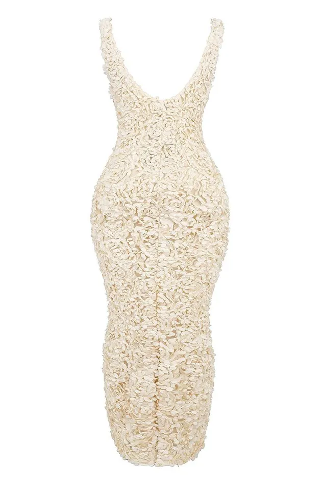 Women Carena Creme Plunge Floral Appliqu Maxi Dress House Of CB Dresses