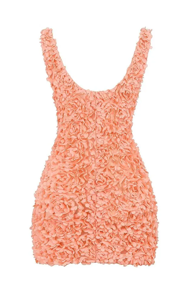 Women Faena Sorbet Plunge Floral Appliqu Mini Dress House Of CB Dresses Women Faena Sorbet Plunge Floral Appliqu Mini Dress House Of CB Dresses