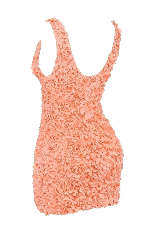 Women Faena Sorbet Plunge Floral Appliqu Mini Dress House Of CB Dresses Women Faena Sorbet Plunge Floral Appliqu Mini Dress House Of CB Dresses